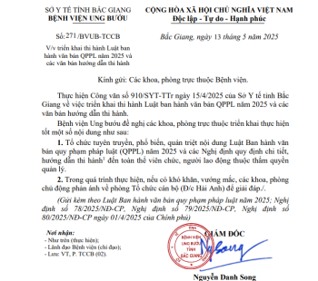 271.V/v triển khai thi hành Luật ban  hành văn bản QPPL năm 2025 và  các văn bản hướng dẫn thi hành
